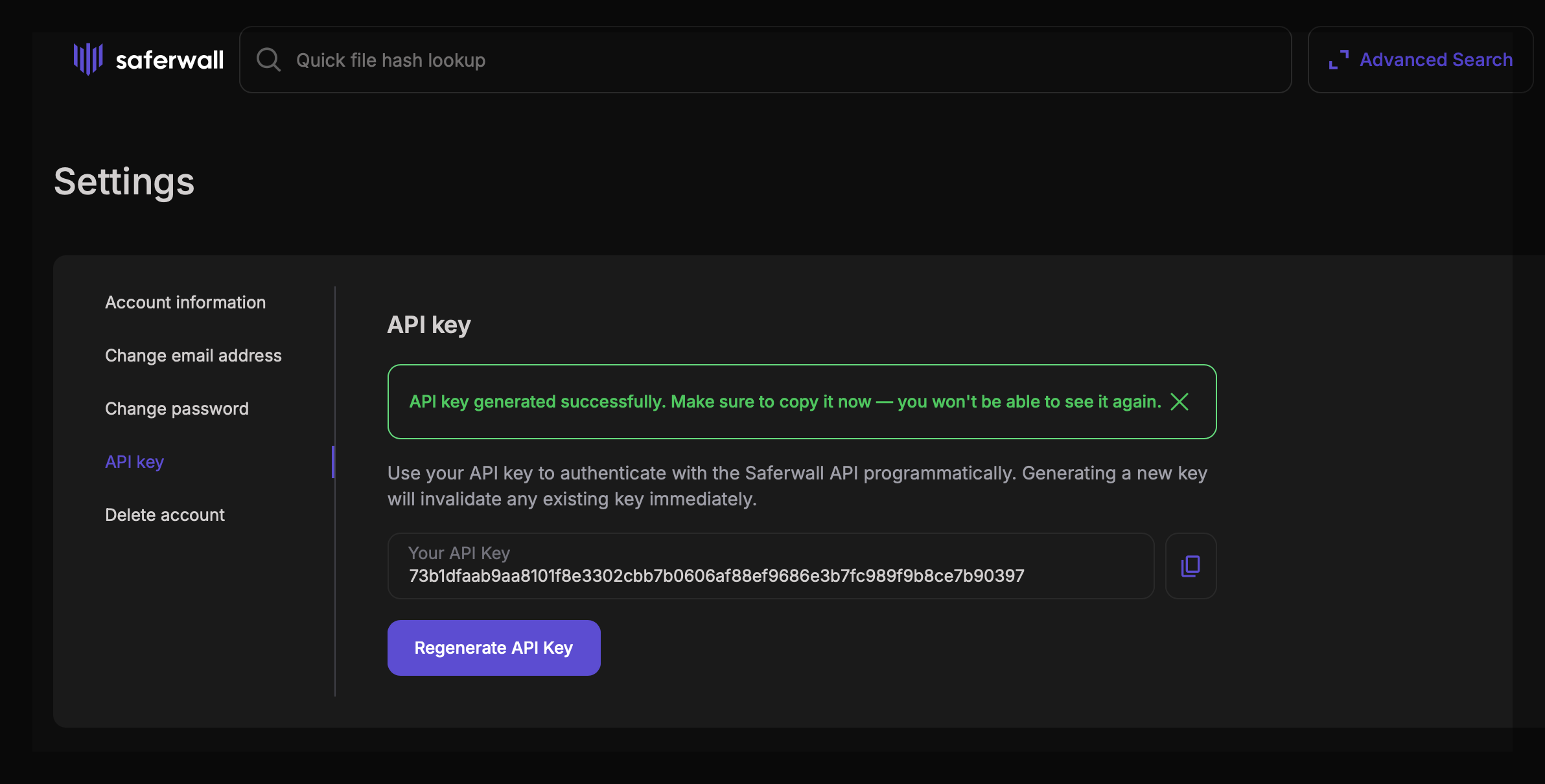 API key settings page showing a successfully generated key